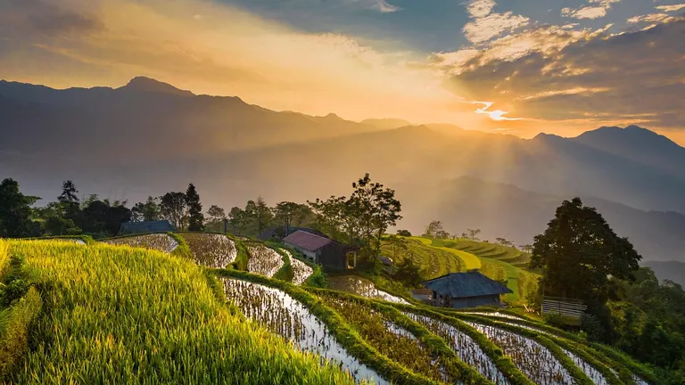 A traditional Vietnamese homestay in a rural village setting