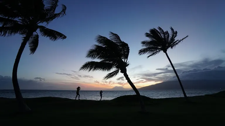 Tropical beach in the Philippines with palm trees and sunset over water