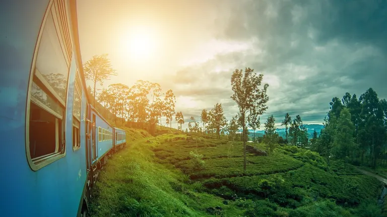 Green tea plantations on hills in Sri Lanka with misty mountains in background
